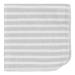 Gerber Baby 10-Pack Terry Washcloths in Bear Green | One Size | Soft and Absorbent - Buy Online on GoSupps.com