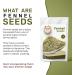 Fennel seeds | 100gm | Premium quality | 100% Fine Quality Ingredient I Herbs & Spices | Authentic | Gluten free | Resealable Zip Lock Pouch |Fennel Seeds for Cooking Smoothies & Lattes - Buy Online on GoSupps.com