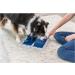 Trixie Poker Box 2 - Interactive Dog Toy for Intelligence & Strategy | 31x31cm | Perfect for Employment - Shop Now! - Buy Online on GoSupps.com