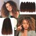 12 Inch Short Passion Twist Hair Marlybob Crochet Hair 6 Small Bundles Kinky Curly Crochet Hair For Black Women (6 Bundles 12 Inch  1b/30) 6 Bundles 12 Inch 1b/30
