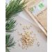 Pine Nuts 500g - Natural Fresh Unsalted - Premium Quality for Pesto - Vegan & Additive-Free - High Protein Snack - Buy Online on GoSupps.com