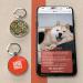 DISONTAG QR Code Dog ID - Personalized Online Pet Profile | Modifiable Privacy Control | No App Required (Round A5) - Buy Online on GoSupps.com