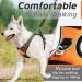 Adjustable No Pull Dog Harness - Padded Front Puppy Vest with Handle - Reflective Breathable Mesh for Outdoor Adventures - Comfort Control - Orange (1 Pack) - Buy Online on GoSupps.com