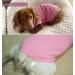 Cool Combed Cotton Dog Shirt for Medium-Sized Dogs | Sychien Striped Pink & Gray T-Shirt for French Bulldogs - Buy Online on GoSupps.com