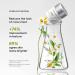 BareMinerals Ageless Phyto-Retinol Eye Cream Fair 15 Cool 8.0g - Anti-Aging Skincare - Buy Online on GoSupps.com