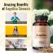 HERBAMAMA Angelica Capsules - Digestive Health, Heart & Blood Circulation Support - for Women with Dong Quai Root - Gluten Free, Vegan, Non-GMO - 1000mg 100 Caps - Buy Online on GoSupps.com