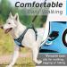 Eagloo Small Dog Harness - Adjustable Anti-Train Harness with Reflective Strips for Walking & Jogging - Durable Light Blue Breast Harness (1 Pack) - Buy Online on GoSupps.com