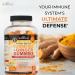 Turmeric Curcumin Ginger Gummies - 120 Count - Vegan Joint Support Supplement - Non-GMO & Made in USA - Peach Flavor - 60 Day Supply - Buy Online on GoSupps.com