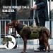 Buy Oneigris Dog Crockery - Invictus Support Dishes for Medium to Large Dogs | Safety Tableware with 3 Handles & Adjustable Straps - L Green - Buy Online on GoSupps.com