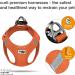 Shop XL Air-Mesh Vest Harness - Orange | Curli D-Ring Buckle - International Shipping Available - Buy Online on GoSupps.com