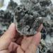 Natural Stone Black Rock Ghost Phantom Quartz Cluster Specimen Home Decoration Ornament Can be Used for (Size : 150-200g) Crystal Cluster (Size : 250-300g) - Buy Online on GoSupps.com