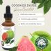Organic Guava Seed Oil cold pressed for Skin & Hair Vitamin C Rich Antioxidant-Rich Hydrating Oil for Glowing Skin & Frizz-Free Hair 1 oz / 30ml 1 Fl Oz (Pack of 1) - Buy Online on GoSupps.com