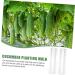 Toddmomy Horticulture 6 Pcs Vegetable Shaping Mold Strawberry Stereotypes Cucumber Molds - Buy Online on GoSupps.com
