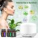Essential Oils Gift Set - 6 Pure Aromatherapy Oils (Rosemary Lavender Lemon Grass Orange Peppermint Tea Tree) 10ML | International Shipping - Buy Online on GoSupps.com