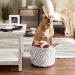 Bone Dry Lattice Paw Print Small Round Pet Storage - White/Gray - Buy Online on GoSupps.com