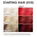 KERACOLOR Kit of 3-in-1 (Cleanse + Conditioner + Color) Red Semi-Permanent Hair Dye and Finishing Hair Spray 10oz - Buy Online on GoSupps.com