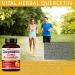 Premium High Purity Quercetin 98% with Bromelain Capsules for Maximum Potency with Green Tea Ashwagandha - Supports Overall Health Strength Energy - 90 Days Supply - Buy Online on GoSupps.com