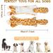 PETTOM Dog Toys Set - 5 Plush Squeaky Dog Toys with Crinkle Paper for Puppies & Small Medium Dogs | No Filling Cuddly Toys - Buy Online on GoSupps.com