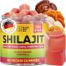 5 elementum Original Shilajit Gummies 2200 mg 90 pieces Premium Shilajit Gummies with Lions Mane Reishi Chaga & Cordyceps Himalayan Shilajit for energy and vitality with the aroma of watermelon Watermelon 90 Gummies