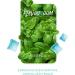 Flavouroom Premium 25 Set I Menthol Map - Unforgettable Flavor & Aroma Cards with Hasel Storage for Menthol Leaves - Buy Online on GoSupps.com