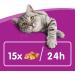 Buy Whiskas Cat Snacks Crunchy Pockets with Chicken & Cheese - 6 Pack (432g) - International Shipping Available - Buy Online on GoSupps.com