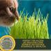 Buy Emma Cough Juice for Cats | Thyme & Anis Fennel - Soothing Respiratory Relief | International Shipping - Buy Online on GoSupps.com