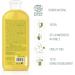 Naturtint | Chamomile Shampoo. Vegan | Lightening Shampoo and Golden Highlights | 98.9% Natural Ingredients. Ecocert | Chamomile and Lemon 330 ml - Buy Online on GoSupps.com