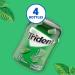 Trident Unwrapped Spearmint Sugar Free Gum  4 Bottles of 50 Pieces (200 Total Pieces) Spearmint 50 Count (Pack of 4) - Buy Online on GoSupps.com