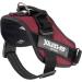 Shop IDC Powerharness M/0 - Bordeaux | Premium Dog Harness for Ultimate Comfort | International Shipping Available - Buy Online on GoSupps.com