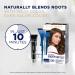 Clairol Root Touch-Up 6G Light Golden Brown Hair Dye - Pack of 2 - Buy Online on GoSupps.com