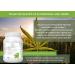 BodyFuel Hemp Protein Powder Plus 14 Superfoods - Vegan Plant Protein with Spirulina, Chlorella, Acai Berry & Alfalfa - Buy Online on GoSupps.com