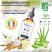 2.11 oz. Organic Hyaluronic Acid Serum for Face + Niacinamide B5 & Vitamin C. Vegan Skin Care Anti-Aging Moisturizer Face Serum for Hydrating Brightening Plump & Smooth All Skin Types - Buy Online on GoSupps.com