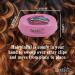 Bobby Pin and Hair Clip Magnetic Holder: HairpinPal (Raspberry Mauve) - Buy Online on GoSupps.com