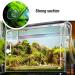 HC Aquarium Suction Cups & Air Hose Holder - 20pcs Set for 4mm Airline Hoses | Ideal for Gas Delivery - Buy Online on GoSupps.com