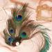 Boyrot Pfau Costume for Women - Stylish Peacock Hair Clips for 20s Carnival Fasching & Gatsby Cosplay - Buy Online on GoSupps.com