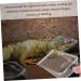 BESPORTBLE 3 Pcs Pet Cleaning Tools Reptiles Sand Mesh Shovel Uvlizer Beachcombing Strainer Zoo Stainless Steel 27X10X5CMx3pcs Blackx3pcs - Buy Online on GoSupps.com