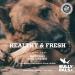 BULLY PALS - 3-5 inch Jumbo/Thick Bully Sticks End Pieces - 10 Pack - All Natural Single Ingredient Dehydrated Dog Treats and Dental Chews for Small Dogs and Puppies - Buy Online on GoSupps.com