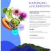 J.Armor Detox Depur - High Dose Milk Thistle & Artichoke Capsules | 20 Silymarin Capsules for Liver Health - International Shipping Available - Buy Online on GoSupps.com