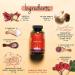 Cardio Pro Complex Vegavero | Heart Health Support with Black Garlic, Orange Hibiscus & Soybean | Lab-Tested Vegan Formula | 90 Capsules - Buy Online on GoSupps.com