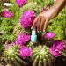 Opi Nature Strong Vegan Nail Polish - Bright Colors Natural Ingredients & Sustainable Packaging - Lasts Up to 7 Days - Buy Online on GoSupps.com
