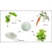 Raya Mint Masque (603) | Cooling Facial Mask for Combination Skin | Minimizes Pores and Refines Complexion - Buy Online on GoSupps.com