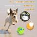 Buy Dauchgoe 3.46 Interactive Dog Ball Toy - Durable Water-Resistant Teeth Training Ball for Small & Medium Dogs - Ideal for Playtime - Buy Online on GoSupps.com