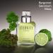 Calvin Klein Eternity Eau de Toilette Foug re Men's Cologne With Notes of Mandarin Sage Cedarwood & Amber Long Lasting Fragrance 3.3 Fl Oz (Pack of 1) - Buy Online on GoSupps.com