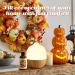 Buy SALUBRITO Fall Essential Oil 4 Fl.Oz - Autumn Wreaths Fragrance for Diffuser Candle Soap Making | Strong Scented Autumn Oil - Buy Online on GoSupps.com