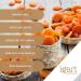  IGART Dried Apricots 10kg | Sun-Ripened | Naturally Sweet | Grade A | Ideal for snacking breakfast or baking - Buy Online on GoSupps.com