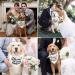 White My Humans are Getting Married Dog Wedding Engagement Bandana Wedding Photo Photos LMSHOWOWO Dog Bandana Wedding Engagement Announcement Gifts Pet Scarf Accessories for Dog Lovers Bridal Shower Black - Buy Online on GoSupps.com