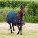 Gallop Trojan 600d Standard Neck 200g Turnout Rug 6'0" (EU 135cm)