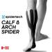 Spidertech Calf & Arch Pre-Cut Kinesiology Tape. Water-Resistant  Latex-Free and Easy to use. Preferred by Athletes. Reduce Inflammation  Help re-Train Muscles  Enhanced Performance (1 Pack) Black Calf & Arch - Buy Online on GoSupps.com
