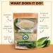 Aloe Vera Powder | Aloe barbadensis | Hair Care, Skin Care, and Natural Remedies - 100% Pure, Chemical-Free, No Additives, (250Gm) 8.8 Ounce (Pack of 1) - Buy Online on GoSupps.com