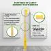 Lamcy Bamboo Toothbrushes for Adults with Medium Bristles | Pack of 5 Natural Bamboo Toothbrush | Eco-Friendly Natural Wooden Toothbrush | Organic Biodegradable Handle | BPA Free Tooth Brushes Adults - 5 Pack - Buy Online on GoSupps.com